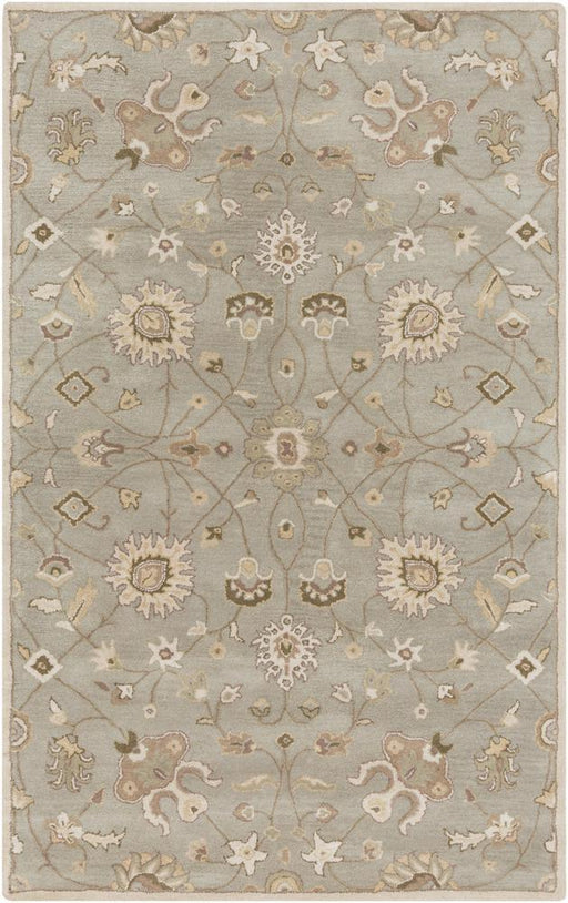 Surya Caesar 2' X 4' Hearth Area Rug image